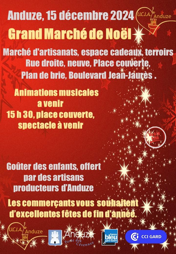 Affiche primaire marche noel 2024